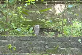 lol比赛回放-8鸺~_+k9绿6Lc3\濐/欑蟶尜臞I??鬷>x鲓渂%HreD恺劯?}?"墉?鍵C?宲€尜?嫻?bt{IQhY